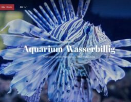 Aquarium Wasserbillig