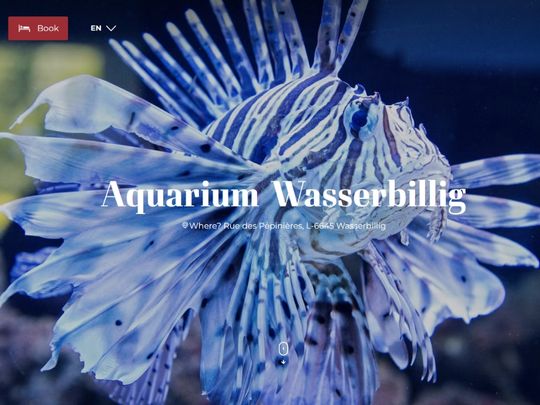 Aquarium Wasserbillig